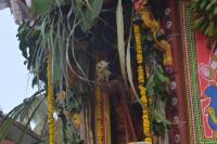 Rathotsava (Pic Courtesy: Shri Dinesh Karkal)